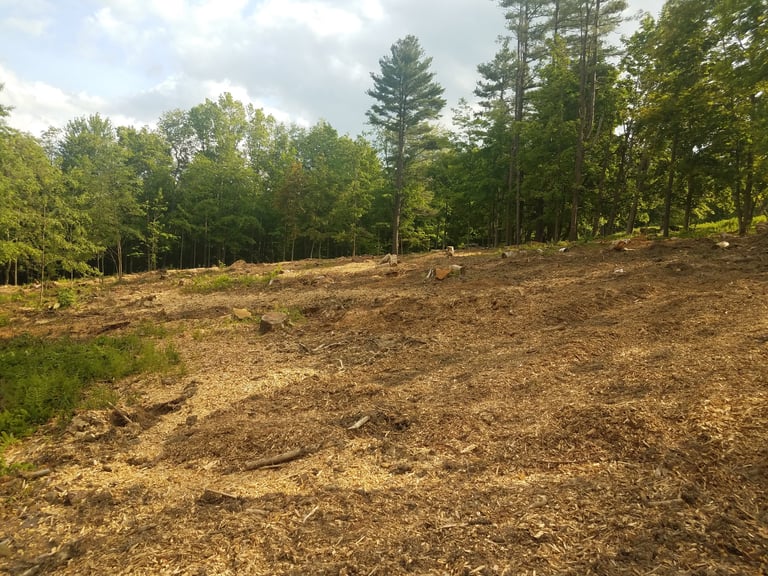 Forest cleared with brown wood chip mulch remaining