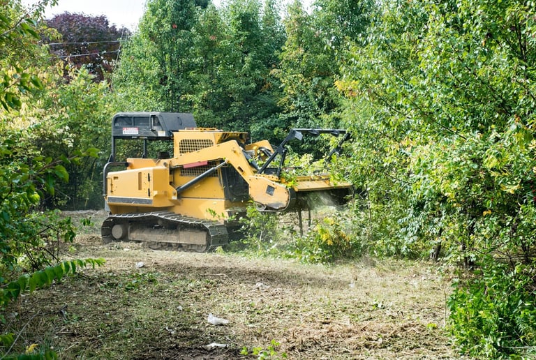 Heavy forestry mulcher grinding small trees and underbrush