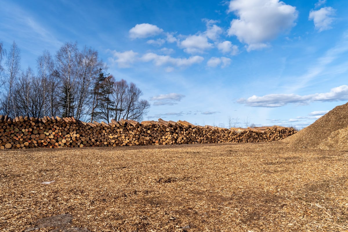 Timber logs and wood chips from land clearing