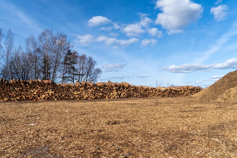 Timber logs and wood chip pile from forestry operation