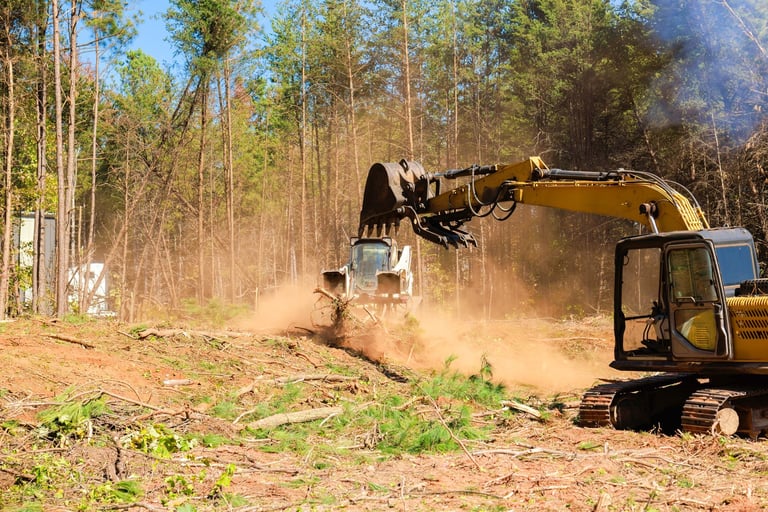 Heavy machinery clearing trees and debris from construction site