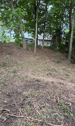 Wooded hillside with bare ground, scattered leaves, and a small house visible among tall trees in the background